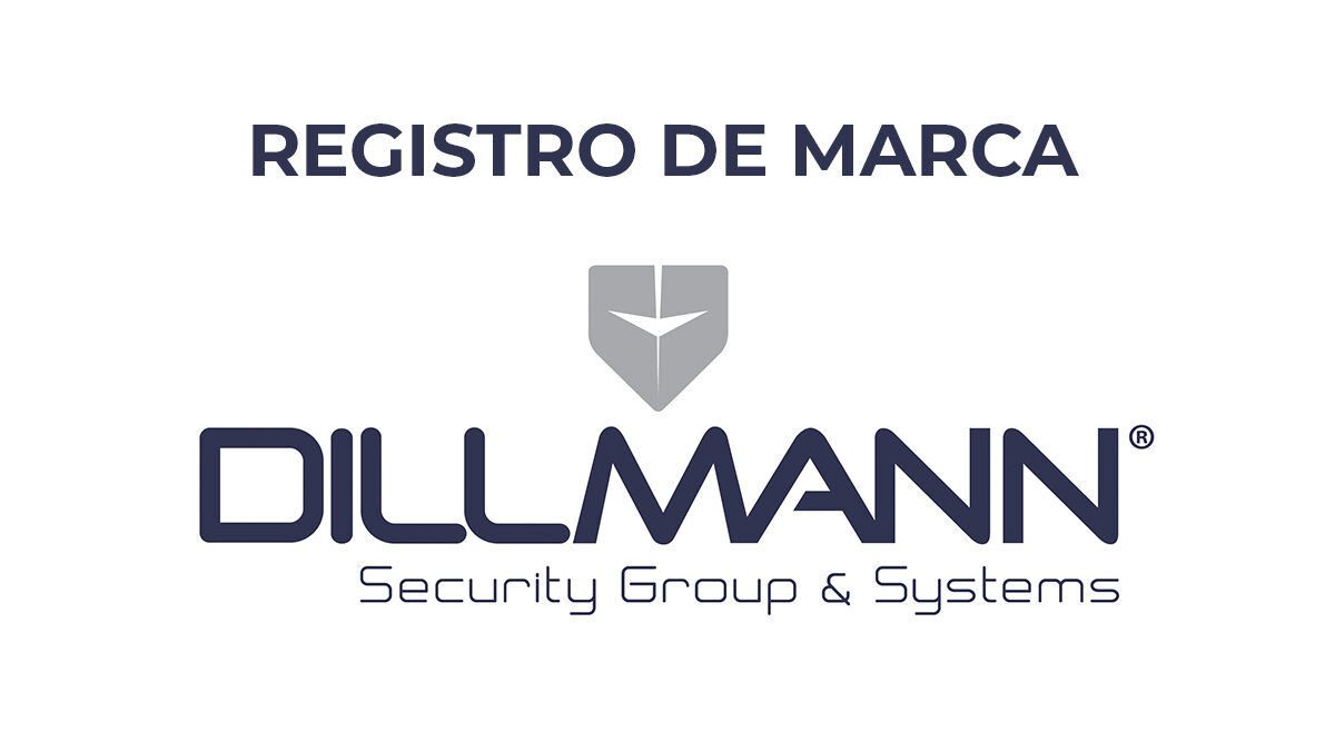 Dillmann Security Group & Systems